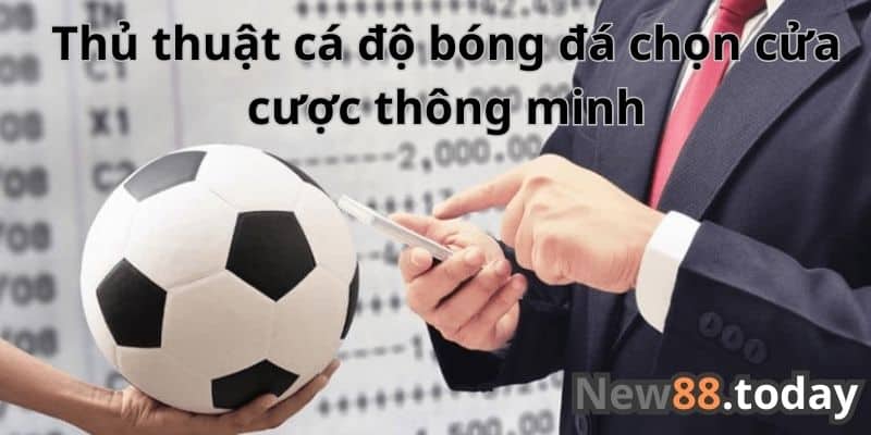 Thủ thuật cá độ bóng đá chọn cửa cược thông minh